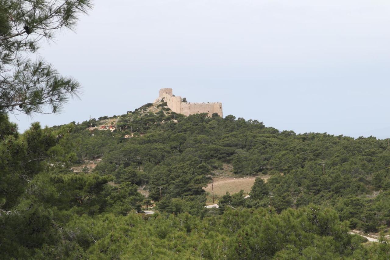 Echo Traditional House - Ηχώ Παραδοσιακό Σπίτι Embonas Exterior photo